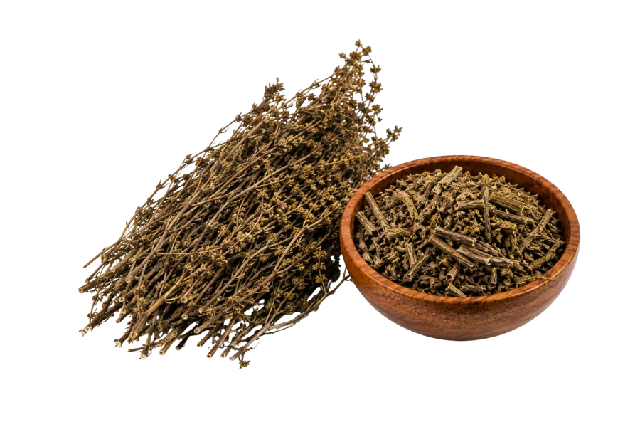 Chiretta - Indian Gentian