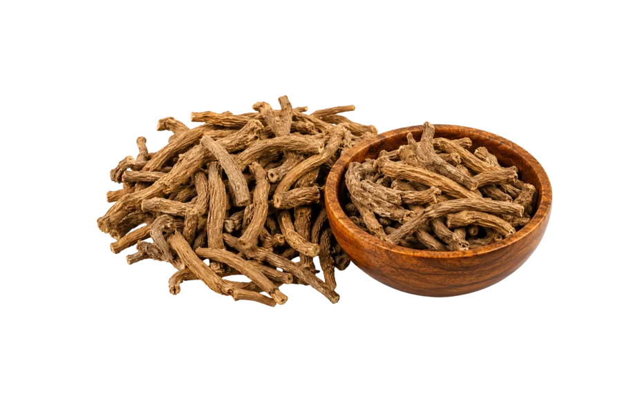 Himalayan Angelica - Gadrayan
