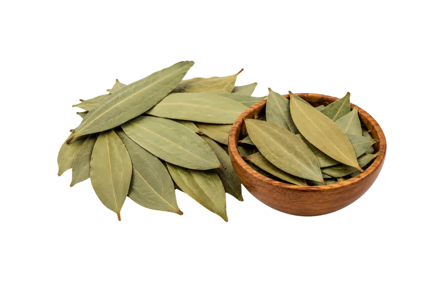 Tejpatta - Indian Bay Leaf