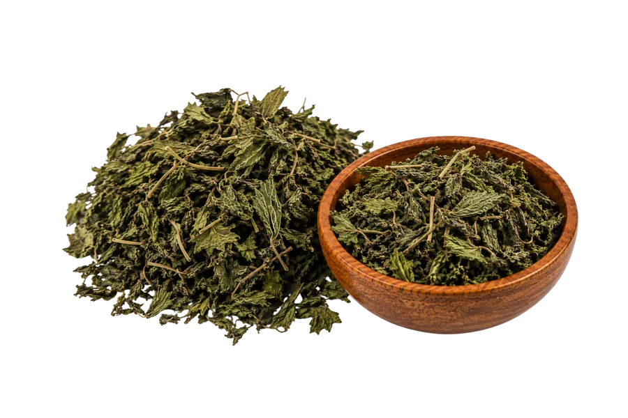 Stinging Nettle - Bichhu Booti