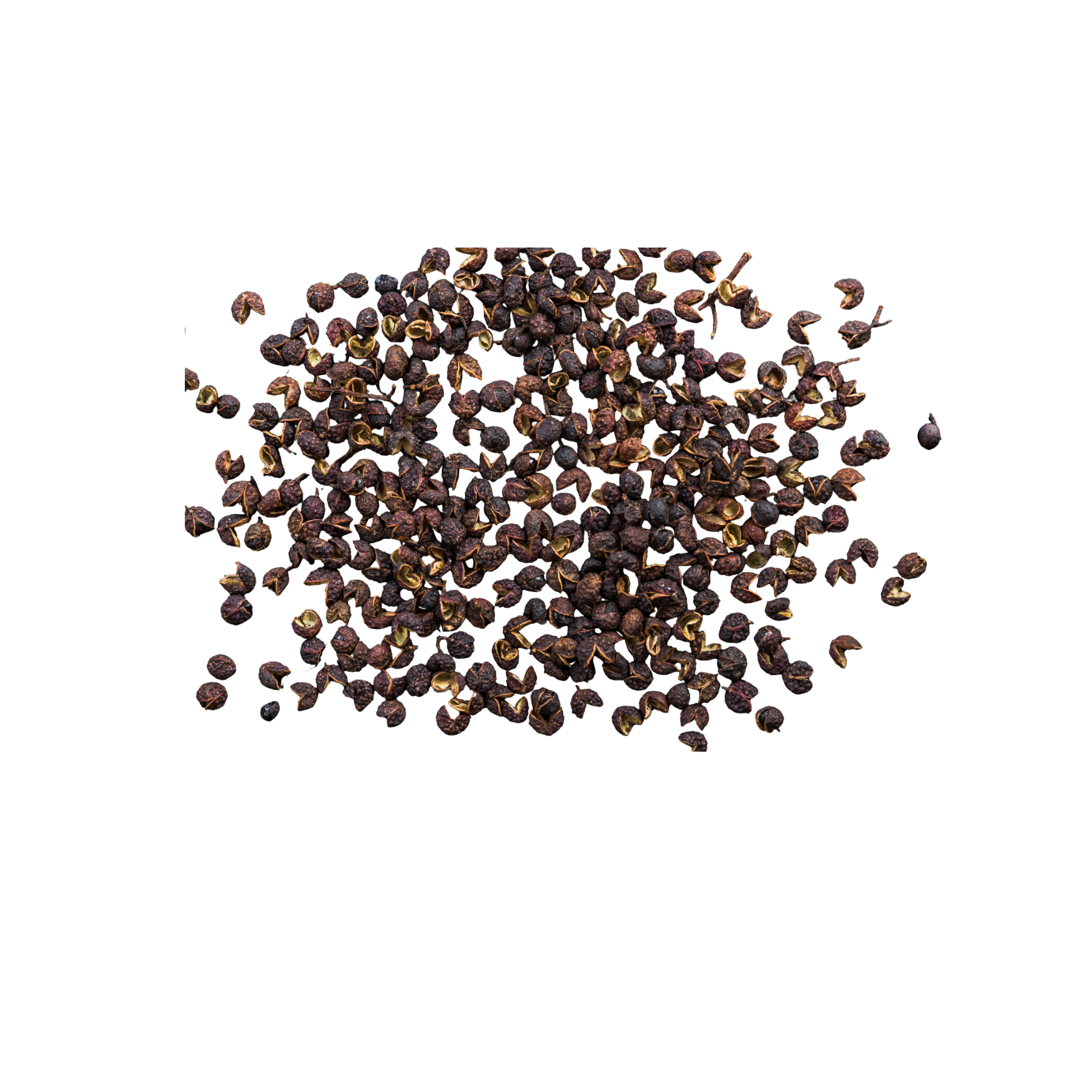 Timur - Himalayan Pepper